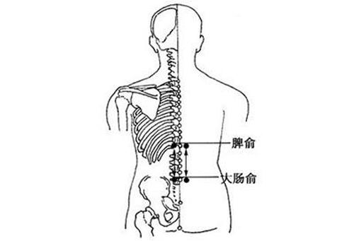 人體穴位分布圖及作用 十大補(bǔ)氣穴位和十大補(bǔ)血穴位