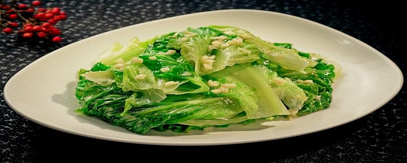 生菜属于凉性吗 生菜是什么季节的蔬菜