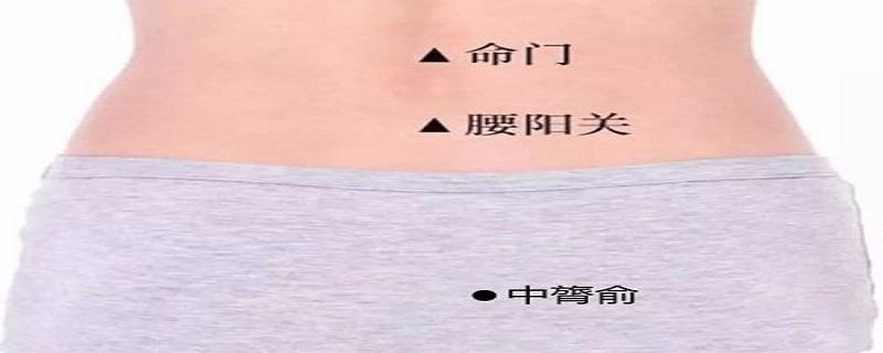 中膂俞的功能主治及作用（臑俞的作用與功效）