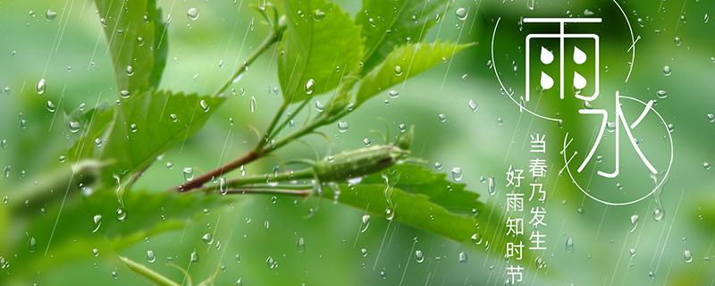 雨水节气不能回娘家吗 谷雨可以回娘家吗