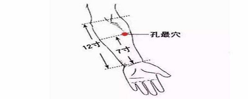 孔最的准确位置图和作用（孔最的准确位置图和作用及功效）