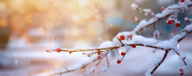 大雪节气的由来和风俗 大雪节气是不是新一年