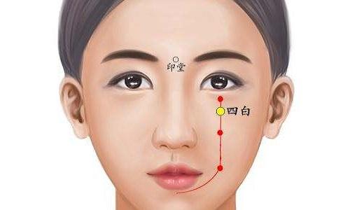 四白的准确位置图和作用 承泣四白的准确位置图和作用