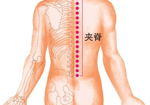 颈椎不好拔罐拔哪里（颈椎不好用拔罐拔哪个地方好）