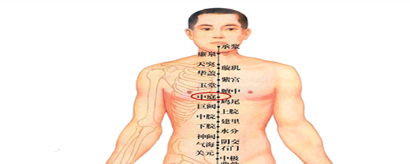 中庭是哪個(gè)位置 中庭在哪個(gè)位置圖