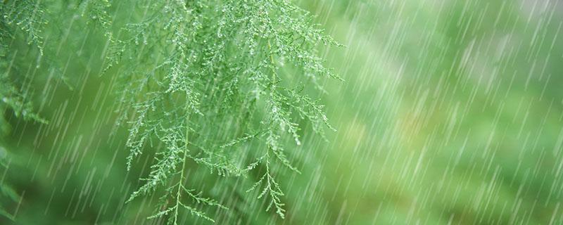 雨水干净吗（雨水干净吗?看看这些就知道了）