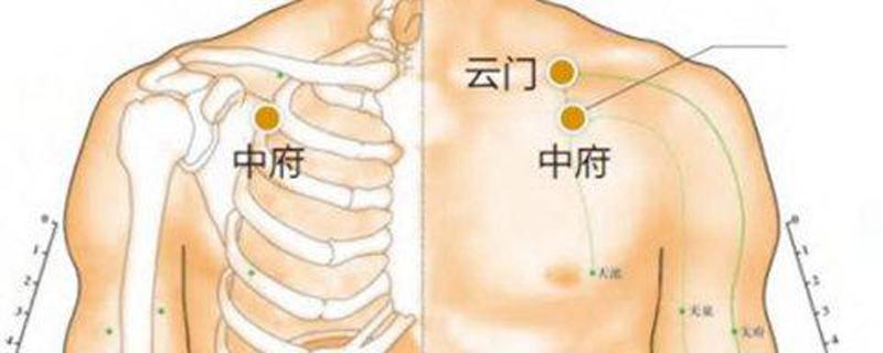 中府的准确位置图和作用（云门中府的准确位置及功效）