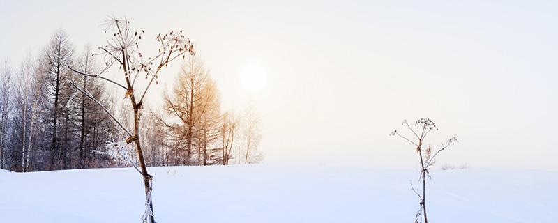 2019大雪节气是哪天（2019年小雪节气是哪一天）