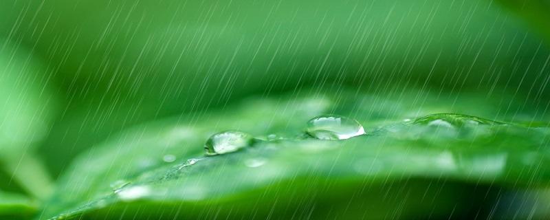 雨水是什么节气 雨水是什么节气寓意