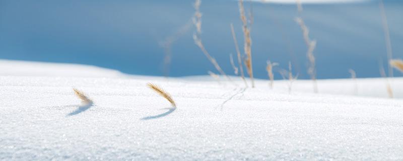 小雪是哪天 小雪是哪天2019