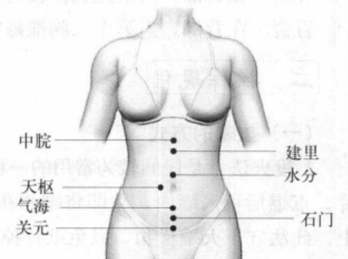 拔罐减肥的位置图（腹部拔罐减肥的位置图）