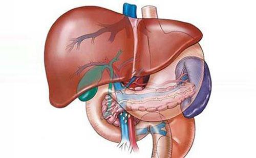 肝硬化饮食注意什么 轻度肝硬化饮食注意什么