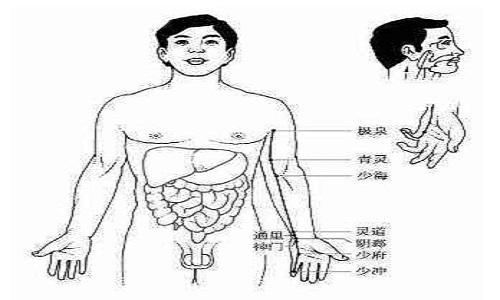 手少阴心经经络图（手少阴心经经络图解）