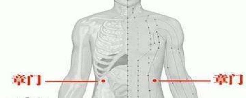 章門針灸方法（章門的針刺方法）