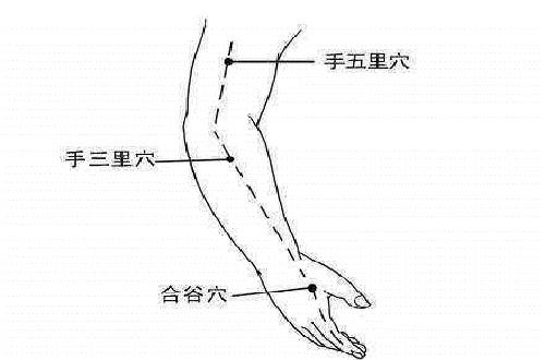 手五里的准确位置图和作用 手五里的准确位置图和作用的准确位置图片