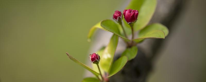 春分在每年的几月几日（春分是几月几日到几月几日?）