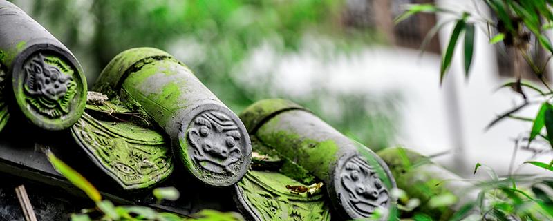 谷雨是哪個(gè)季節(jié) 谷雨是幾月幾日