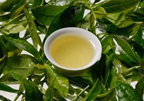 綠茶是什么茶