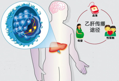 乙肝病毒携带者能生孩子吗（乙肝携带者可以生小孩吗?）