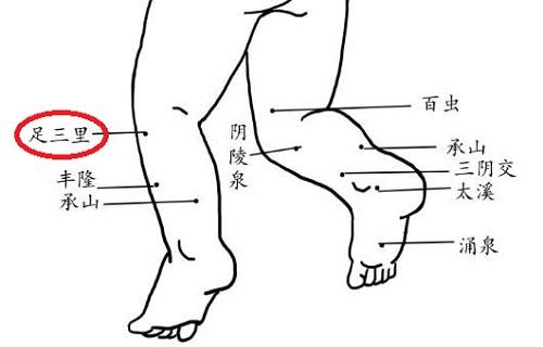 小儿足三里的准确位置图和作用 足三里的准确位置图