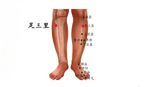 足三里按摩方法 足三里按摩方法足三里位置