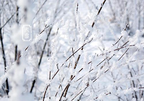 大雪节气的注意事项（大雪节气的注意事项是什么）