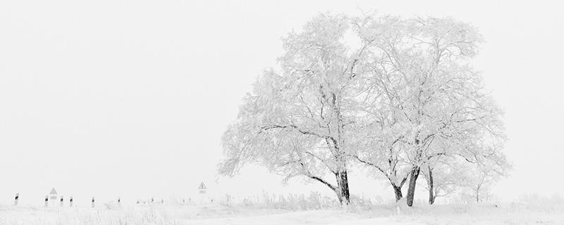 小雪是几月几日2018年 2017年小雪是几月几日