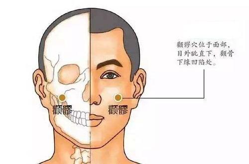 颧髎的准确位置图片（颧髎的准确位置图片作用）