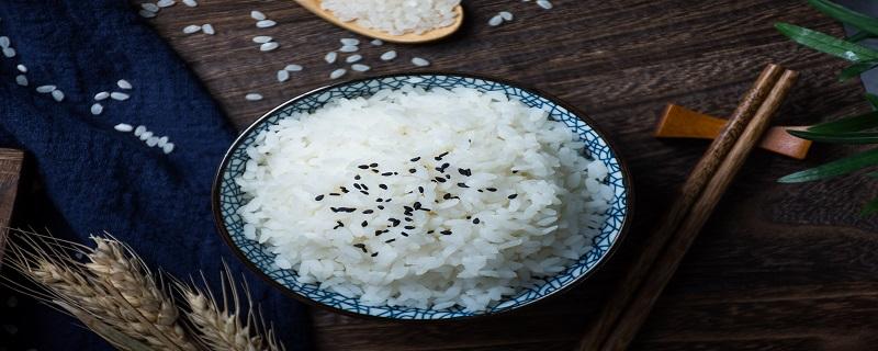 怎样用蒸烤箱做米饭 蒸烤箱怎么做米饭