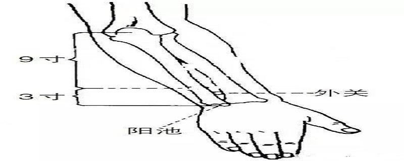 外關(guān)針灸位置圖和作用（針灸內(nèi)關(guān)外關(guān)）