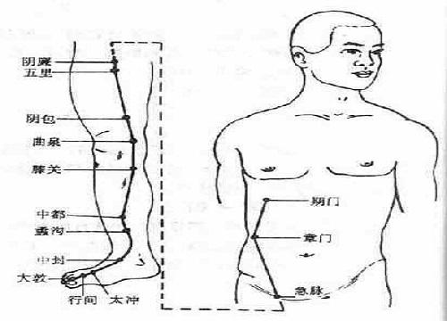 足厥陰肝經(jīng)循行路線圖（足太陰脾經(jīng)循行路線圖）