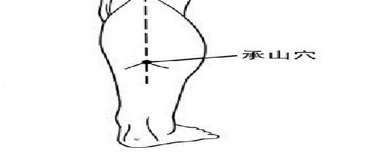 承山的准确位置图视频 承山准确位置图片及作用视频