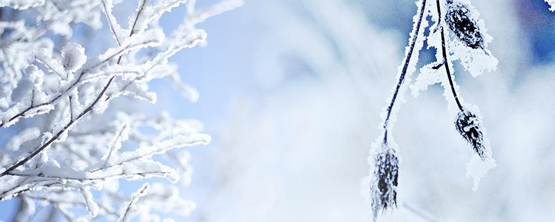 大雪注意事项 大雪注意事项有趣