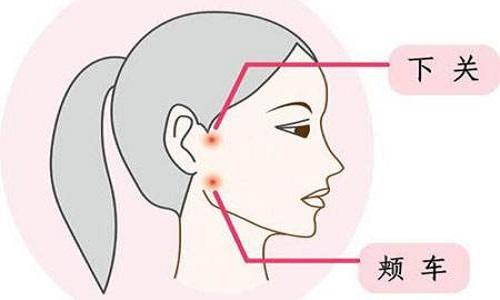 颊车的准确位置图 颊车的准确位置图和作用视频