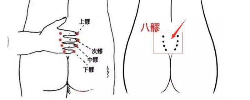 八髎准确位置图作用功效 针灸八髎准确位置图作用功效