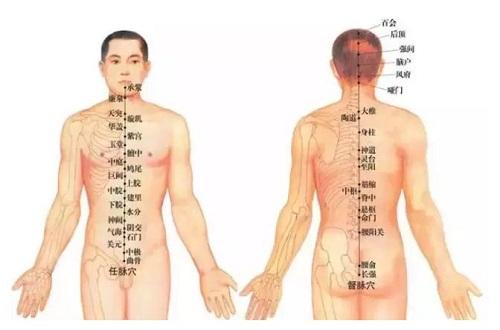 督脉的准确位置图（督脉的准确位置图和作用）