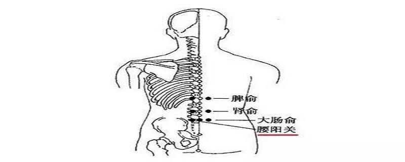 腰阳关的准确位置视频（腰阳关的准确位置图视频）