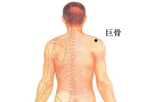 巨骨的准确位置图（巨骨的准确位置图作用功效）