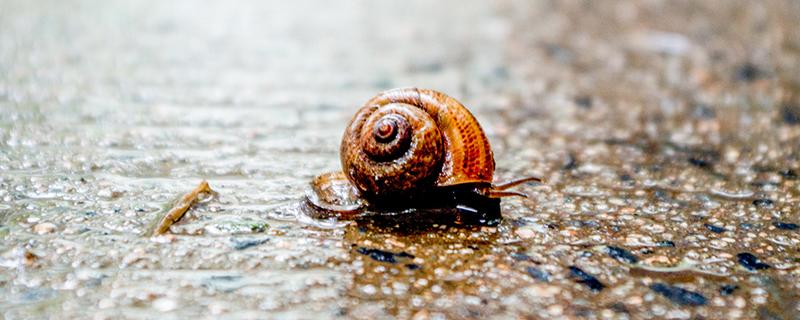 立秋下雨有什么说法 立秋下雨有什么说法 立秋后的天气