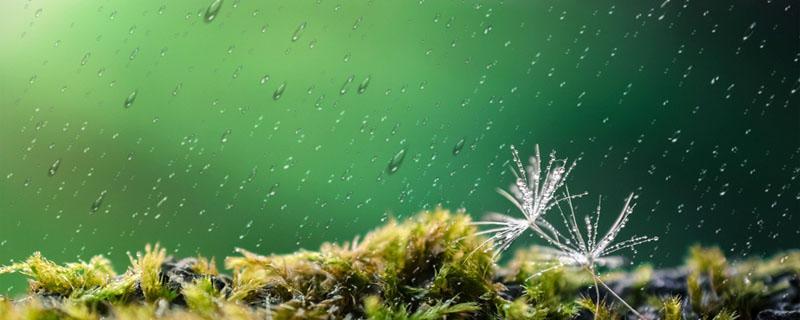 淋雨后喝什么驱寒祛湿（淋雨后喝什么驱寒祛湿 泡脚）