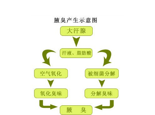 青春期有狐臭怎么辦 青春期有狐臭怎么辦才能根除