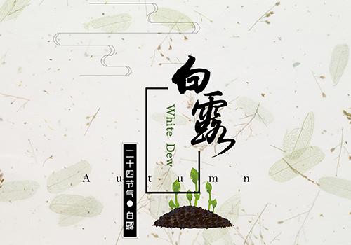 白露热不热（白露了为什么还这么热）