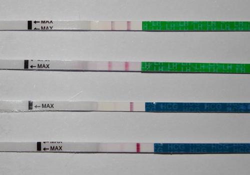 验孕试纸两条杠会不会有错 验孕试纸出现两条杠一定是怀孕吗