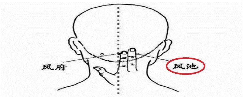 风池怎么找最简便（风池简单准确位置图片）