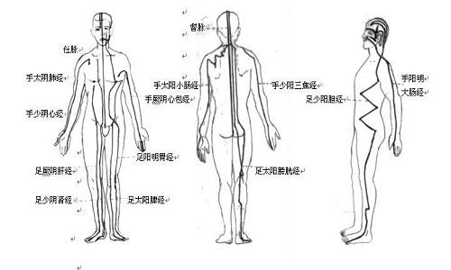 十二经络的走向和作用（十二经络的走向和作用五行相克）