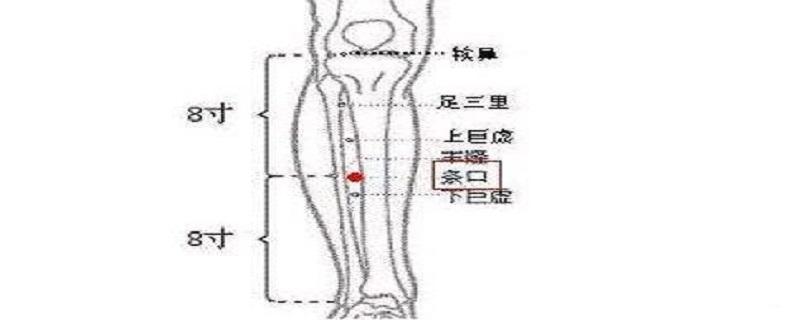 条口的意思是什么（口条百度百科）