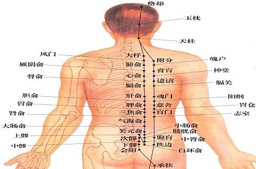 三焦俞疼痛怎么引起的（三焦俞一按就疼怎么回事）