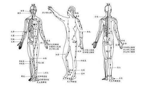 十二经络运行时间 十二经络运行时间表