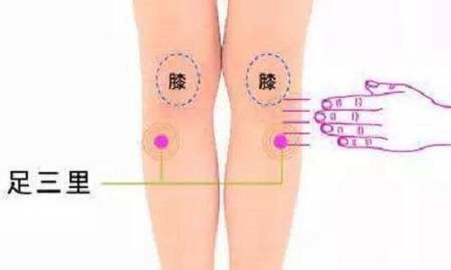 减肥艾灸哪些部位 减肥艾灸哪些部位示意图