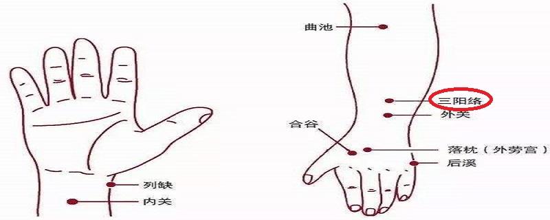 三阳络是什么意思 三阳之络指的是